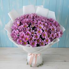 Букет цветов из:  Хризантемы в Тахтамукайском