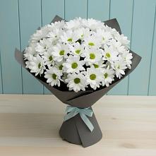 Букет цветов из:  Хризантемы #REPLACE_PRED# Тахтамукайском