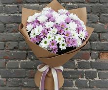 Букет цветов из:  Хризантемы #REPLACE_PRED# Тахтамукайском