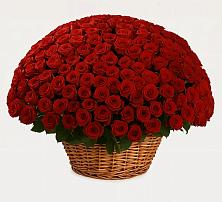 Премиум букет из: Розы #REPLACE_PRED# Тахтамукайском