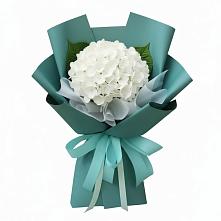Букет цветов из:  Гортензия #REPLACE_PRED# Тахтамукайском